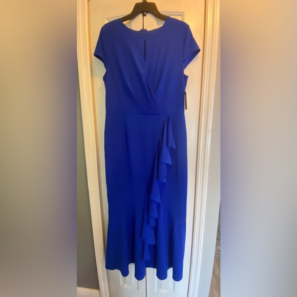 Alexa B Nites Beautiful evening Dress - Picture 1 of 13